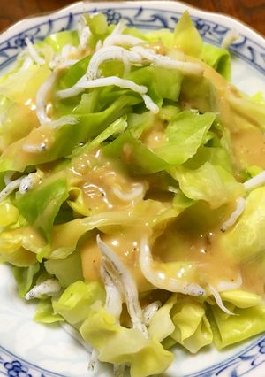 春キャベツとしらす干しの胡麻だれ和え-レシピのメイン写真