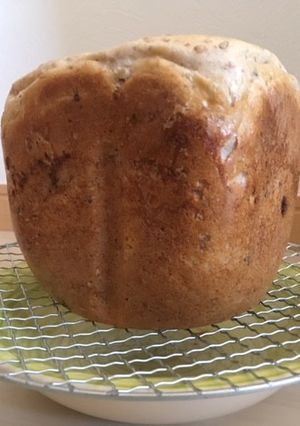 HBクルミとレーズンの玄米雑穀パン-レシピのメイン写真