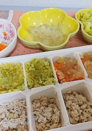 離乳食～お肉ミックス～-レシピのメイン写真