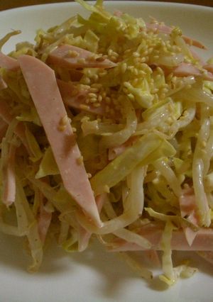 キャベツともやしと魚肉ソーセージのサラダ-レシピのメイン写真