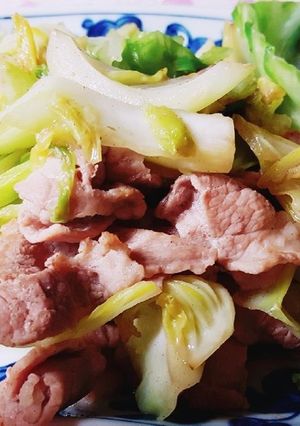 キャベツの肉野菜炒め-レシピのメイン写真
