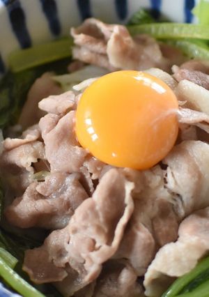 液体塩こうじで柔らか★豚肉のスタミナ丼-レシピのメイン写真