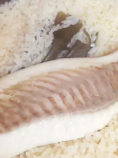 超簡単 失敗しない土鍋で炊く鯛めし-レシピのメイン写真