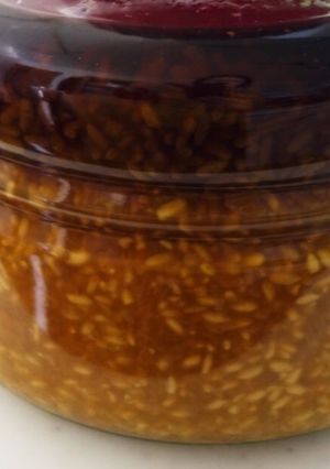 自家製３年みりん（塩味醂）-レシピのメイン写真