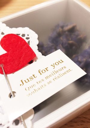 誰でも簡単♡幸せの青いチョコ-レシピのメイン写真