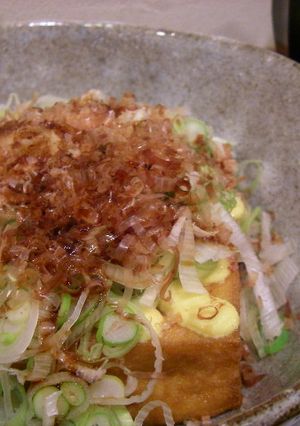 ネギ乗っけ厚揚げ✿-レシピのメイン写真
