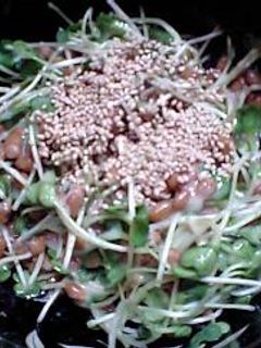 貝割れの納豆和え-レシピのメイン写真