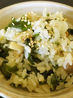 湯通しワカメの混ぜご飯-レシピのメイン写真