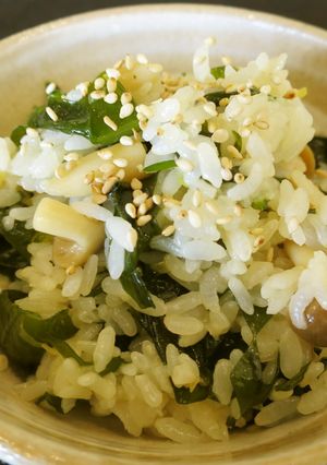 湯通しワカメの混ぜご飯-レシピのメイン写真