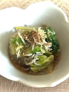 白菜のおひたし-レシピのメイン写真