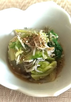 白菜のおひたし-レシピのメイン写真