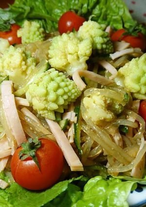 野菜ソムリエの春雨サラダ-レシピのメイン写真