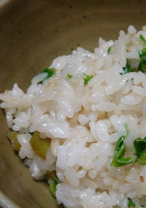 簡単大根葉ごはん-レシピのメイン写真