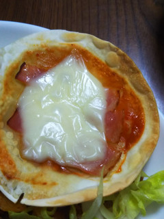 餃子の皮ピザ風-レシピのメイン写真