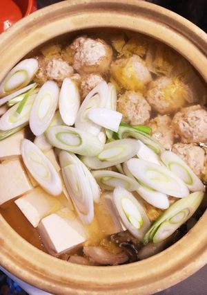 ほっこり!あったか!鶏団子の生姜鍋♫-レシピのメイン写真