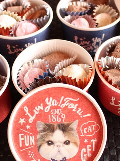 バレンタインストロベリー生チョコトリュフ-レシピのメイン写真