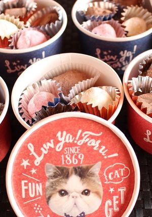 バレンタインストロベリー生チョコトリュフ-レシピのメイン写真