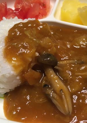 コンソメスープリメイク☆ハヤシライス-レシピのメイン写真