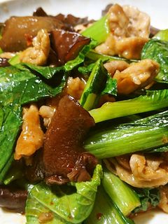 豚肉と小松菜の豆板醤炒め-レシピのメイン写真
