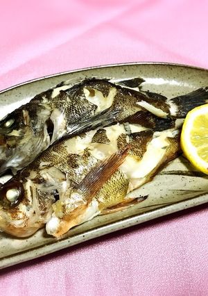 金メバルと黒メバルの塩焼き-レシピのメイン写真