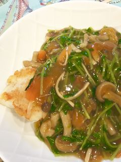 真鱈のたっぷり豆苗あんかけ。-レシピのメイン写真