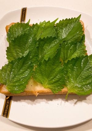 しそオリーブパン-レシピのメイン写真