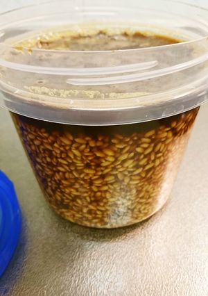 米こうじから醤油こうじを作る★未来へ-レシピのメイン写真
