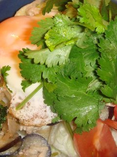 調味料2つだけ!簡単エスニック丼Ⅱ♪-レシピのメイン写真