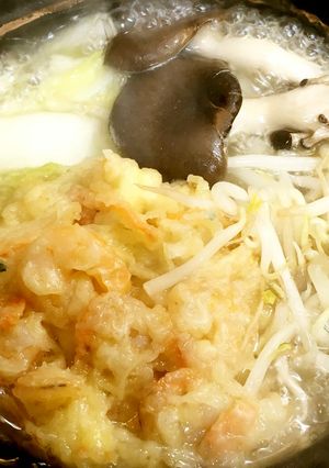 あったか1人鍋④　かき揚げ＆野菜鍋-レシピのメイン写真