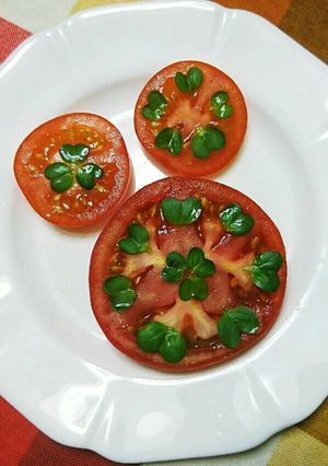 トマトの輪切りに❤﻿の貝割れのせて-レシピのメイン写真