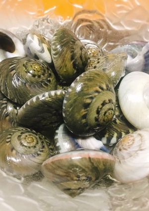 ながらみの酒蒸し-レシピのメイン写真