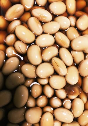 簡単！漬けるだけ！大豆の酢漬け！-レシピのメイン写真