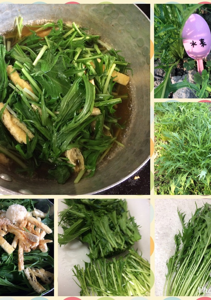 水菜と薄揚げの煮物-レシピのメイン写真