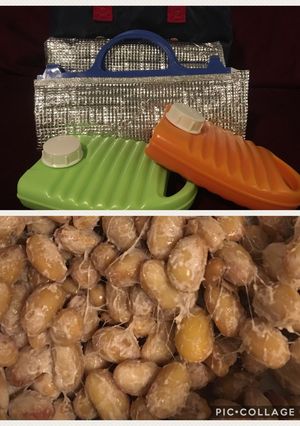 湯たんぽで作る⭐️ふっくら手作り納豆-レシピのメイン写真