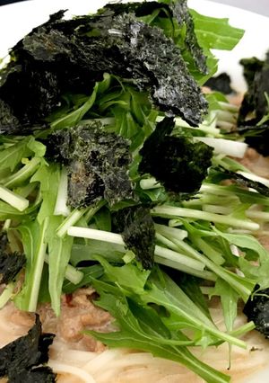 ベジ料理☆担々麺風ゴマ豆乳そうめん-レシピのメイン写真