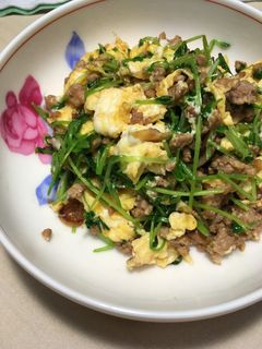 豆苗とひき肉のピリ辛炒め-レシピのメイン写真