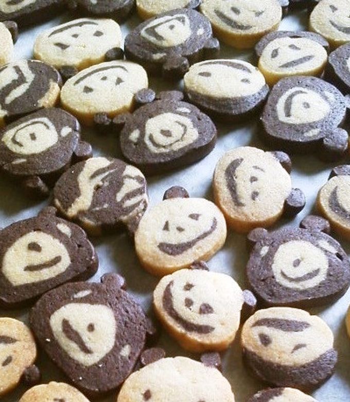 ガッキーと瑛太くんが投げてくれたピンポン玉♥️とサイン ガッキーと瑛太くんが投げてくれたピンポン玉♥️とサイン