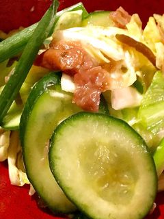 塩こんぶキャベツ 梅肉を和える-レシピのメイン写真