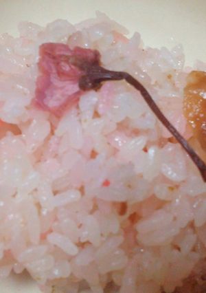 炊飯器で梅ごはん-レシピのメイン写真