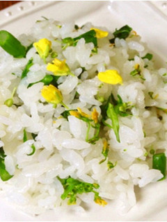 アスパラ菜ごはん-レシピのメイン写真