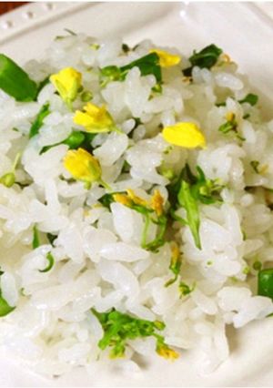 アスパラ菜ごはん-レシピのメイン写真