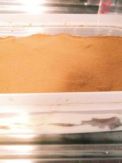 簡単!時短!タッパーティラミス☆-レシピのメイン写真