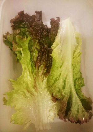 短時間でパリパリ！レタスの保存&時短-レシピのメイン写真