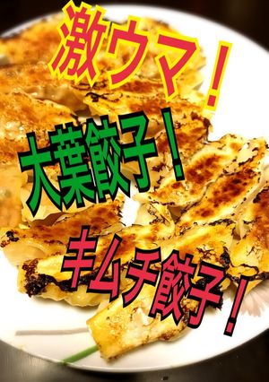 【手作り餃子】2種類の味♪①大葉②キムチ-レシピのメイン写真