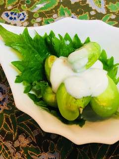 塩酒粕ヨーグルトで♪そら豆の柚子胡椒風味-レシピのメイン写真