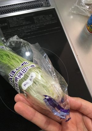 水菜の袋で保存の仕方-レシピのメイン写真