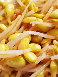 豆もやしのナムル-レシピのメイン写真