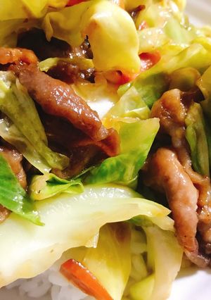 ホイコーロー風丼(材料少なめ-レシピのメイン写真