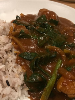 たっぷりほうれん草とチキンのカレー-レシピのメイン写真
