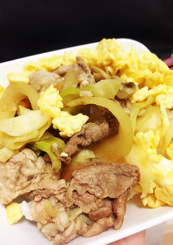 夜食に☆ プチ生姜焼き丼 (一人暮らし)-レシピのメイン写真